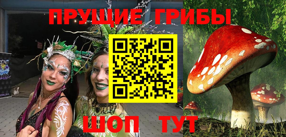Галлюциногенные грибы Cubensis  Вход с VPN  Галлюциногенные грибы Magic Shrooms  Дербент 